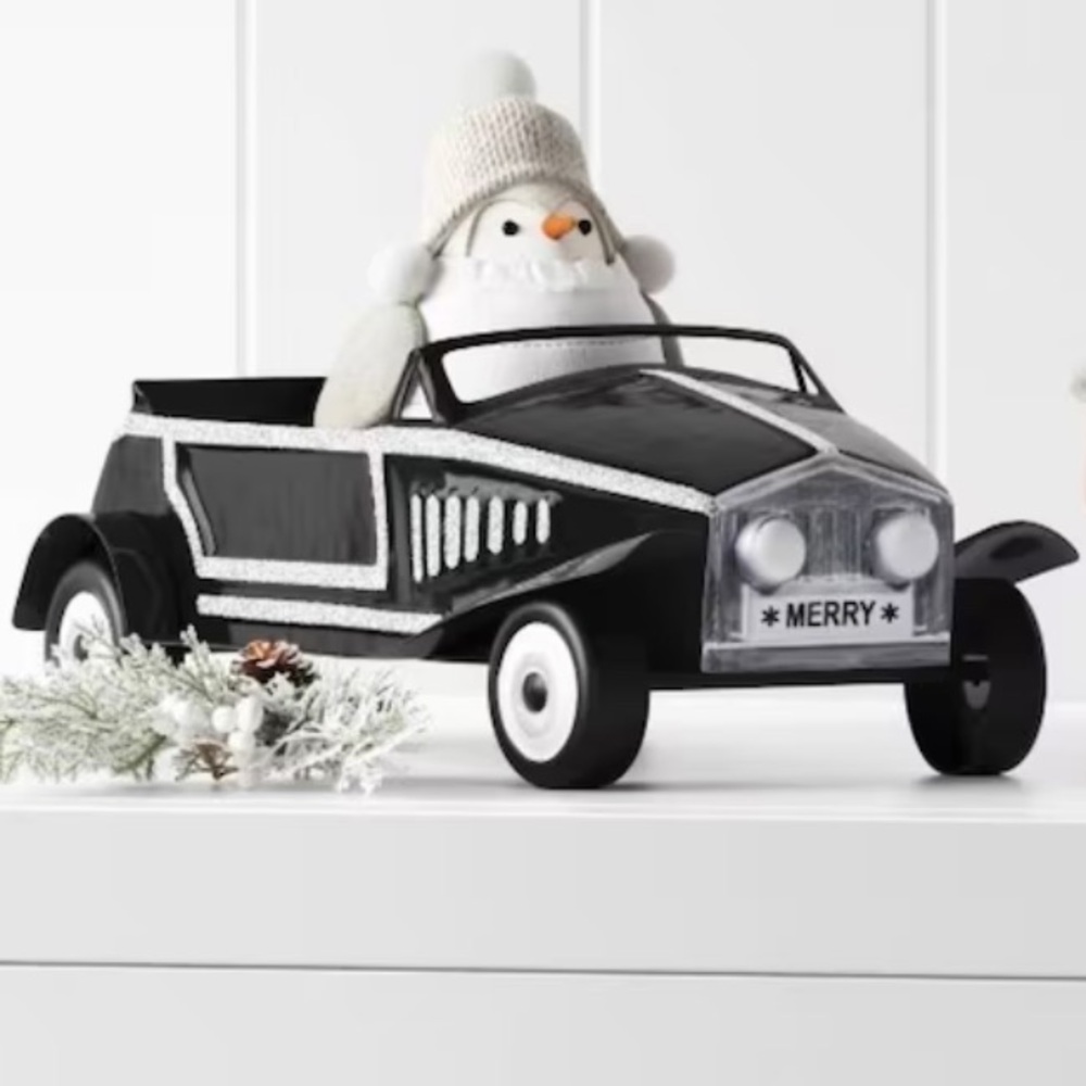Wondershop Featherly Friends Black and Silver Decor Car